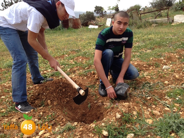 ludandyaffazaitoon (26).JPG